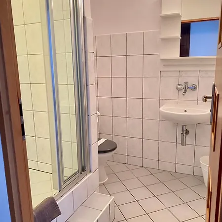 Roza Krynica Morska