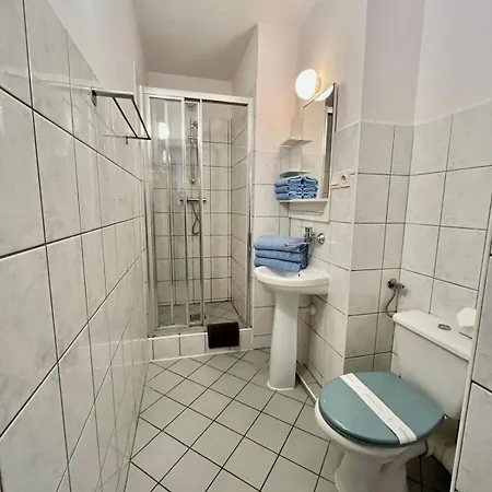 Roza Krynica Morska